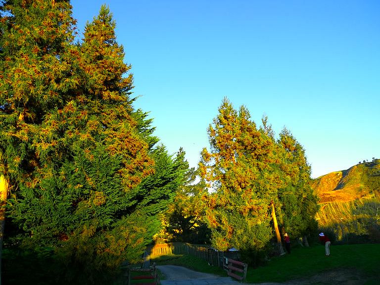 p1070256.jpg