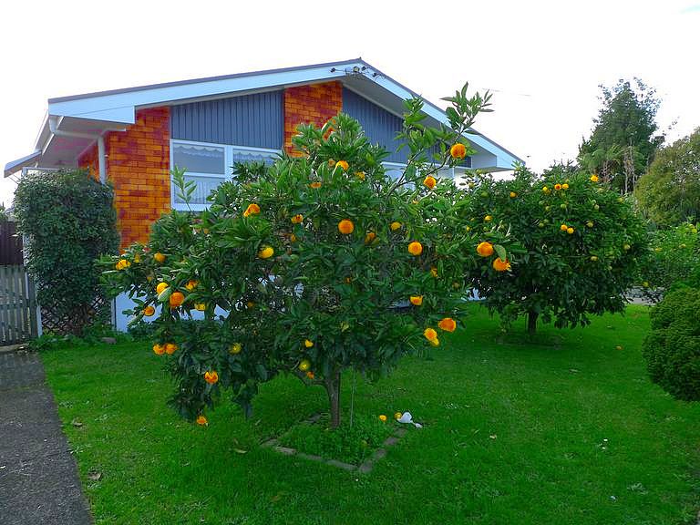 p1070441.jpg