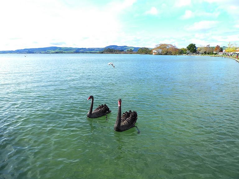 p1070404.jpg