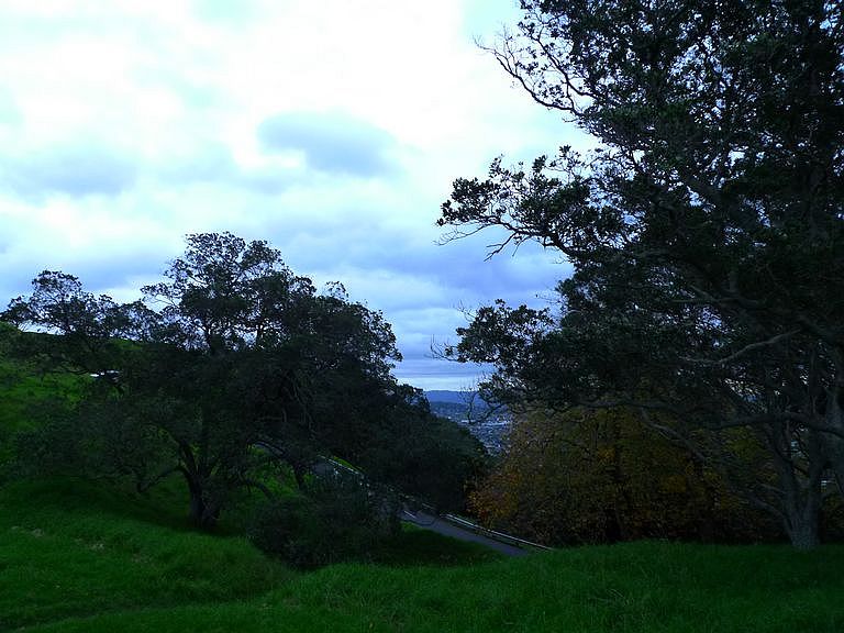 p1070489.jpg