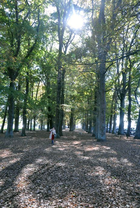 dsc_0232.jpg