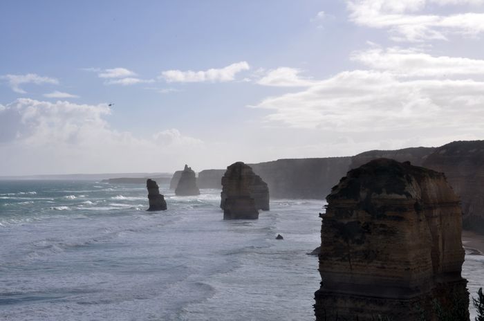 dsc_0461ʮͽ.jpg