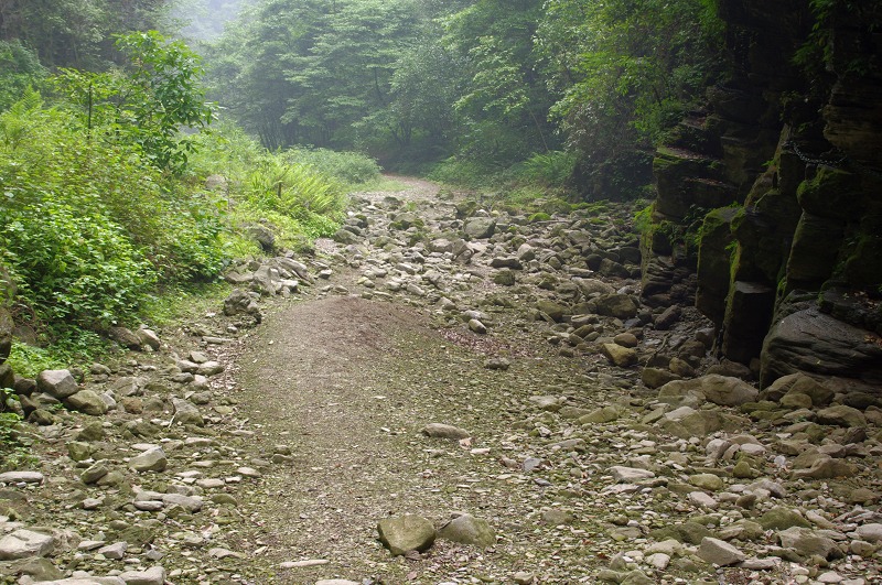 imgp0110.jpg