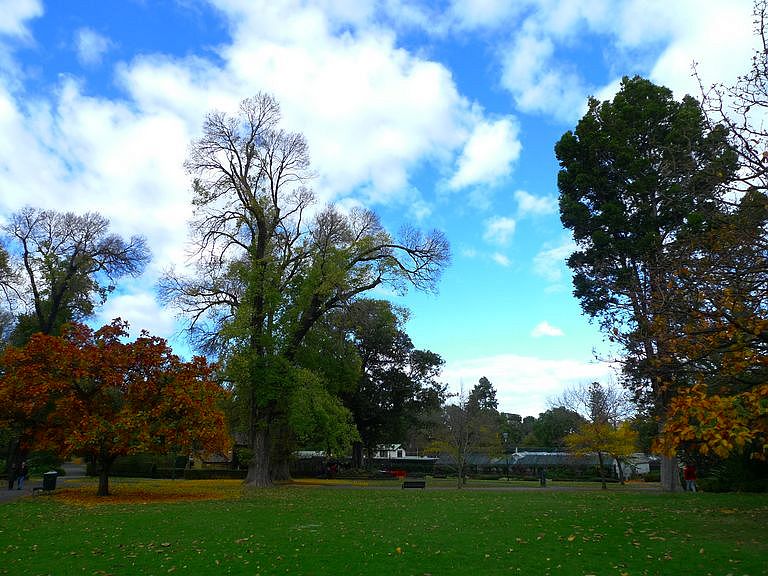 p1070887.jpg