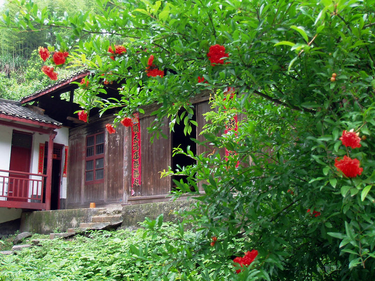 p1013674.jpg