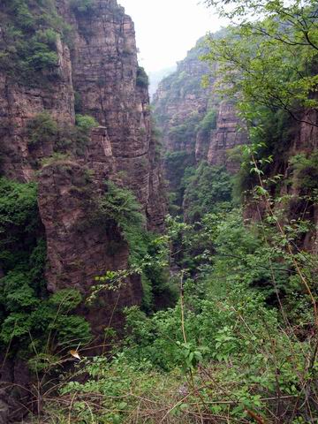 С p5088308.jpg