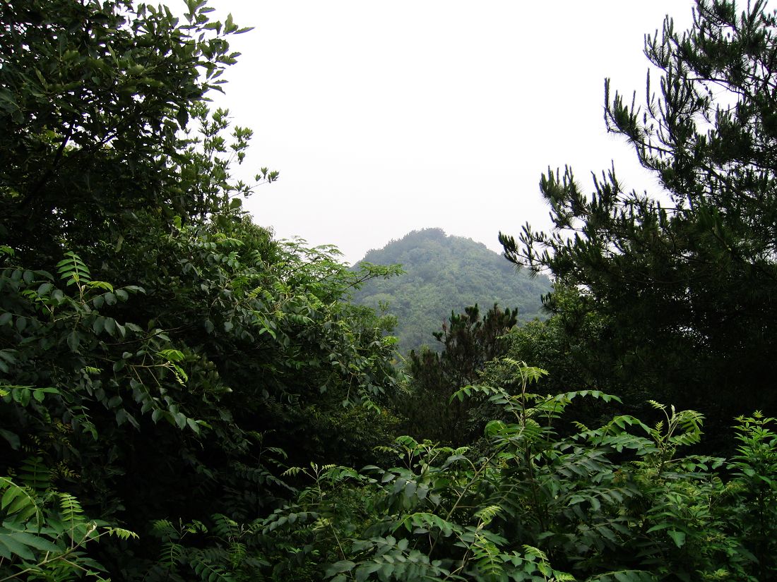 neo_img_img_0051.jpg