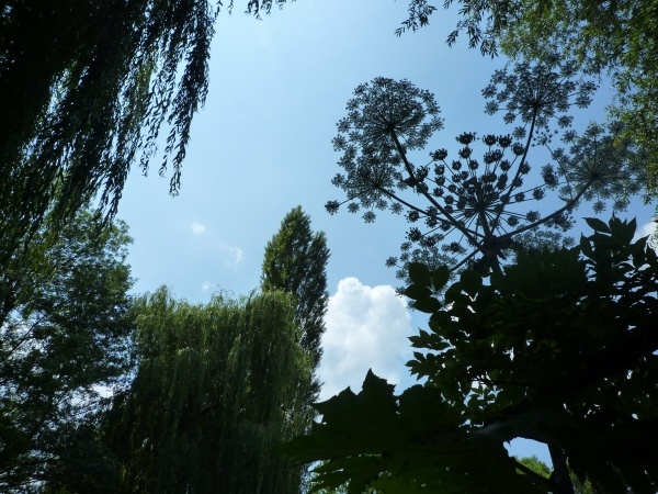 p_large_lhik_76eb00001a8f2d12.jpg