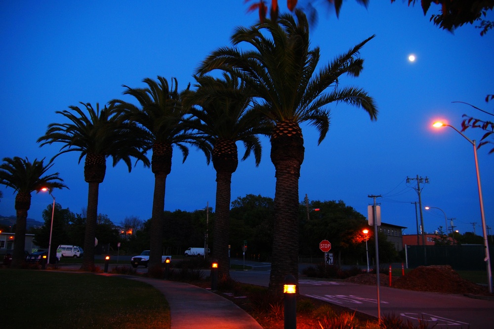k1138605.jpg