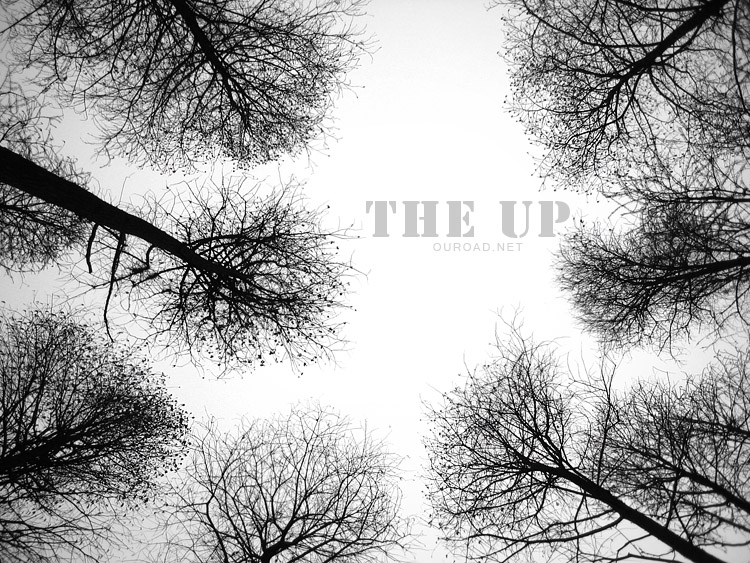 the_up_12.jpg