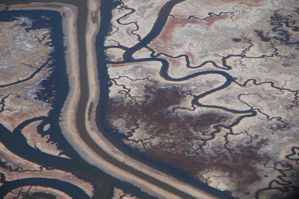 k1118457.jpg
