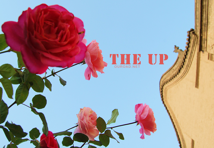 the_up_13.jpg