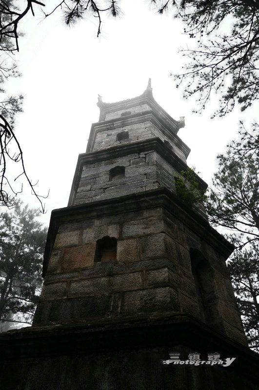 dsc_0166.jpg