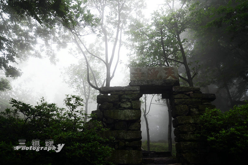 dsc_0176.jpg
