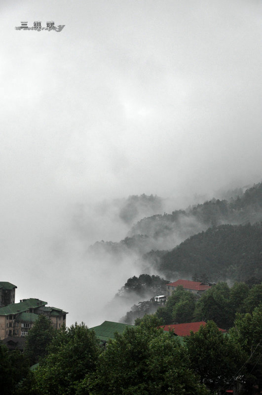 dsc_9563.jpg