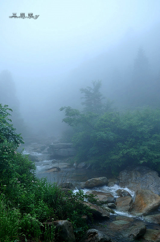 dsc_9687.jpg