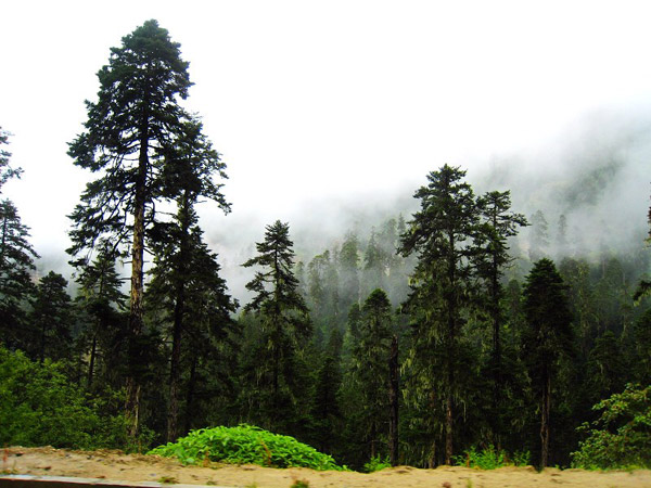 15-³ֺ-2.jpg