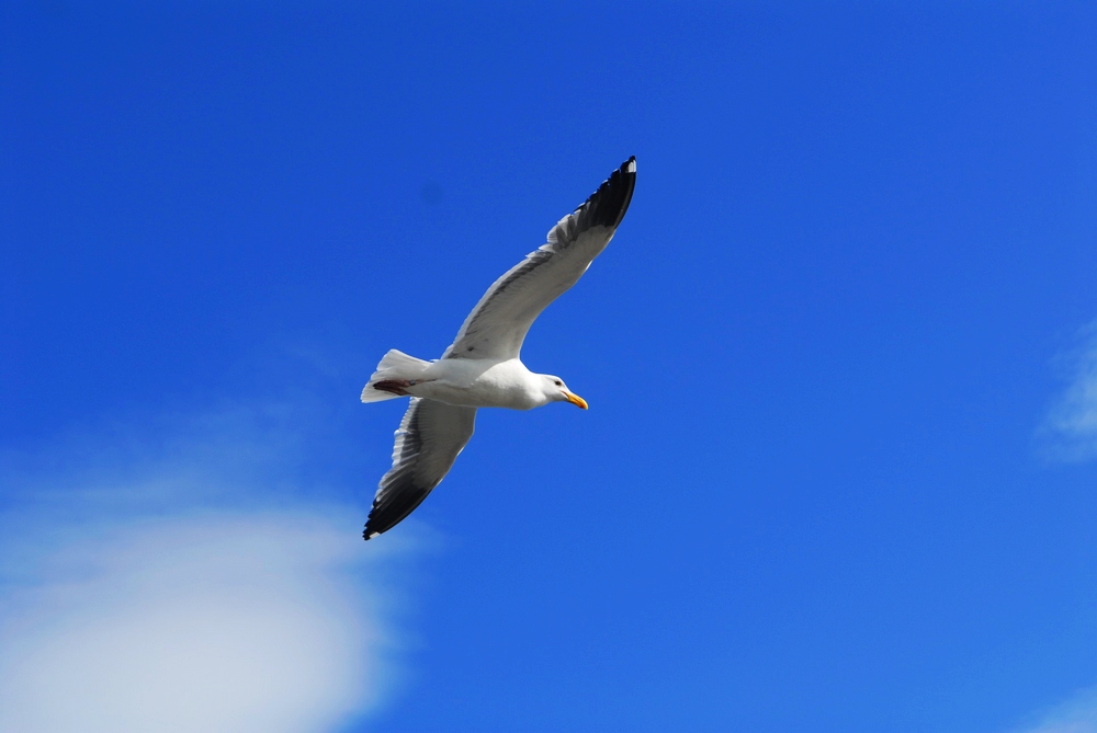 _dsc3136.jpg