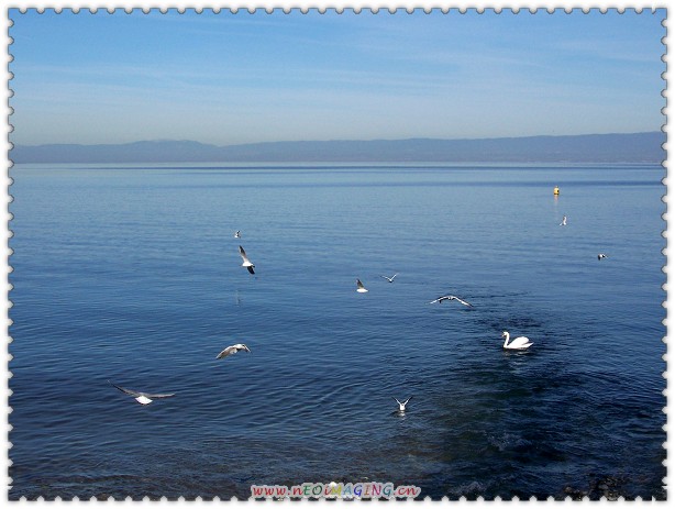 100_8784.jpg