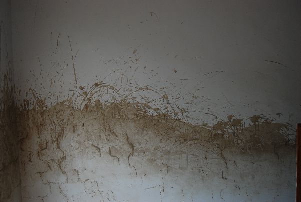 dsc_0624.jpg