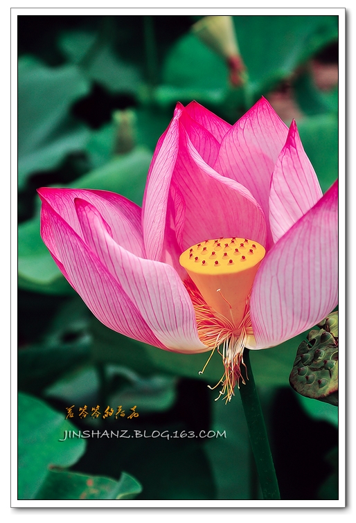 neo_img_pdsc_6595.jpg
