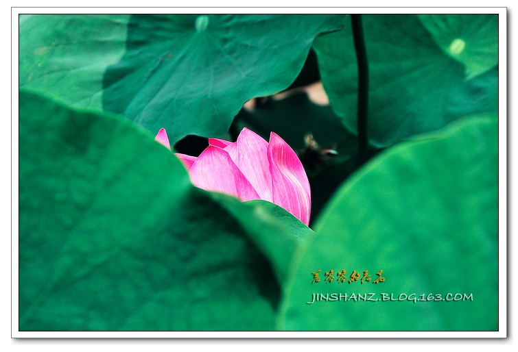 neo_img_pdsc_6605.jpg