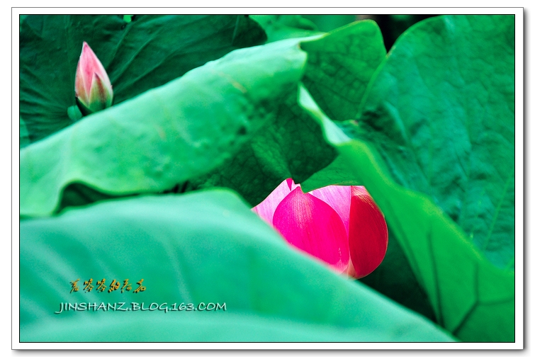neo_img_pdsc_6601.jpg