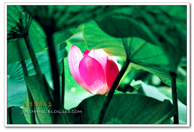 neo_img_pdsc_6604.jpg