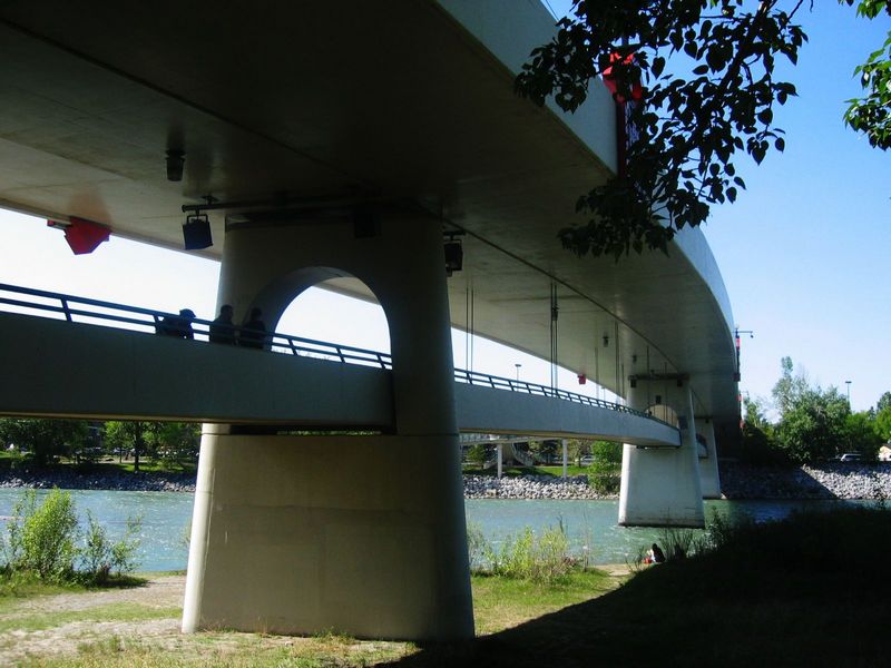 225.jpg