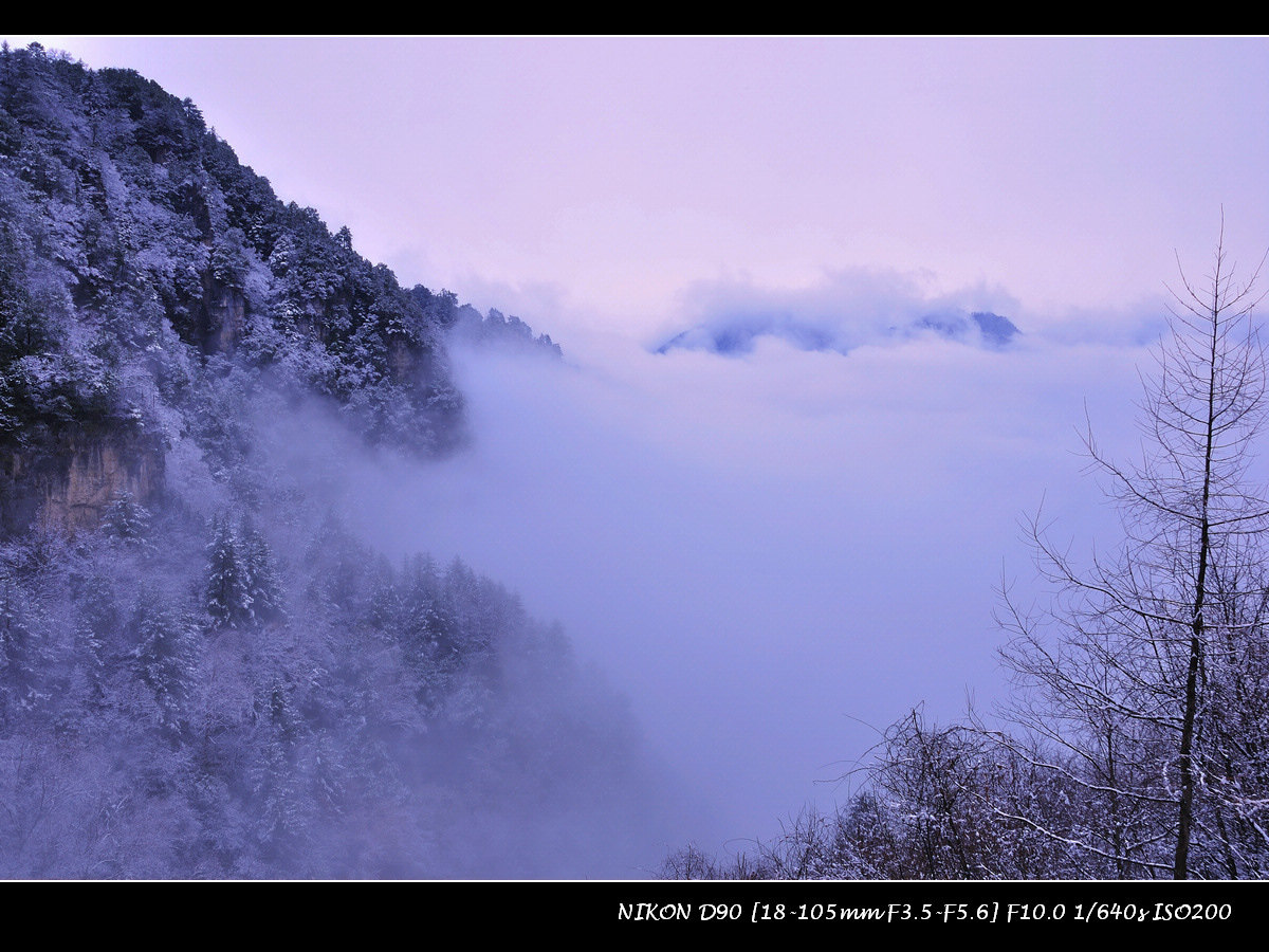 dsc_0087.jpg
