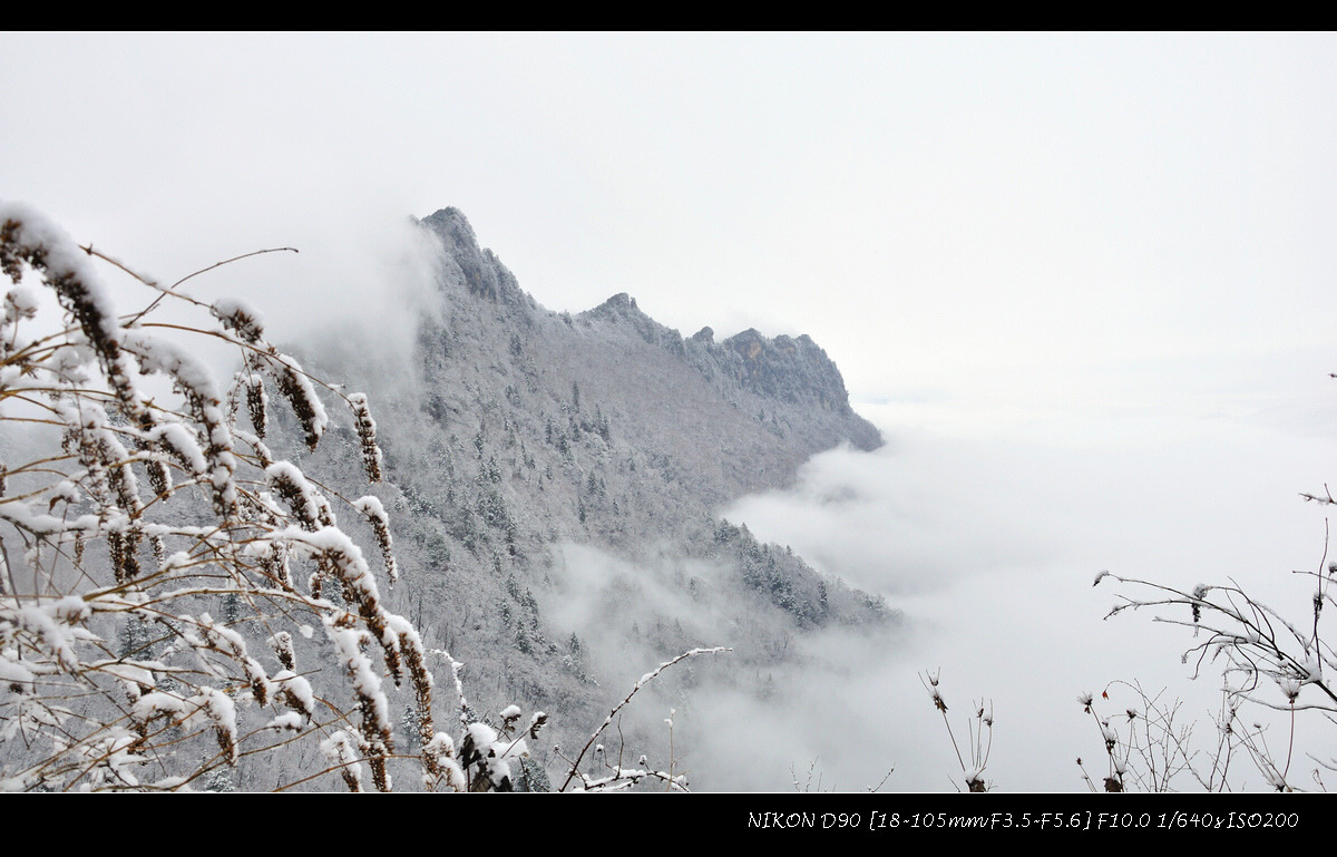dsc_0072.jpg