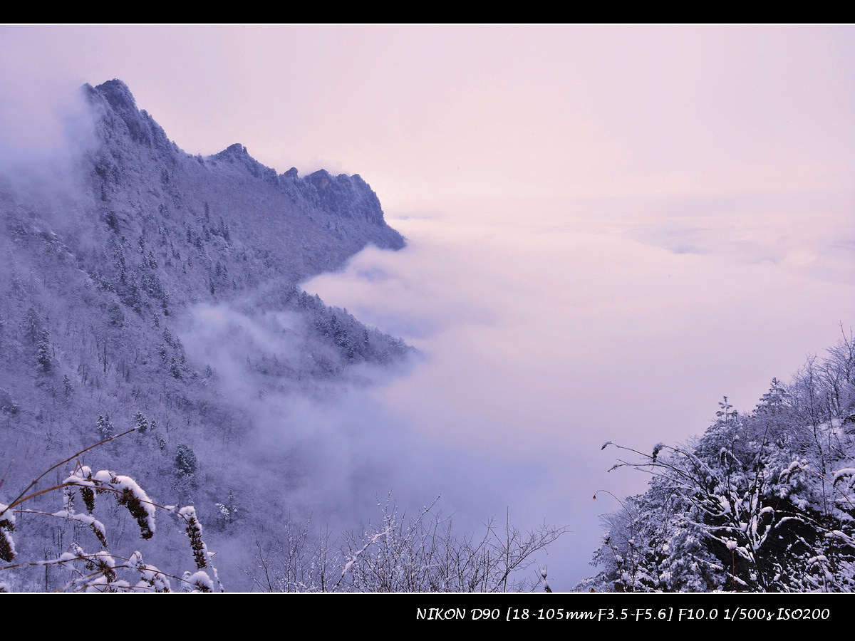 dsc_0071.jpg