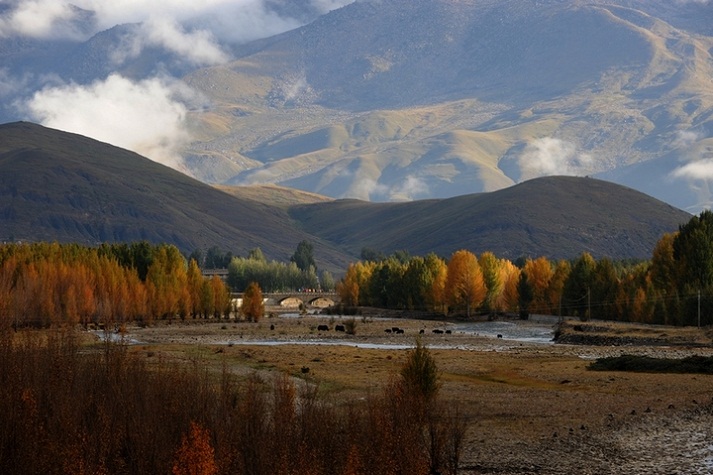 29-101010104437.jpg