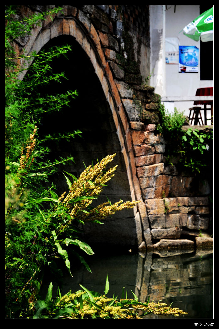 neo_img_dsc_2242.jpg