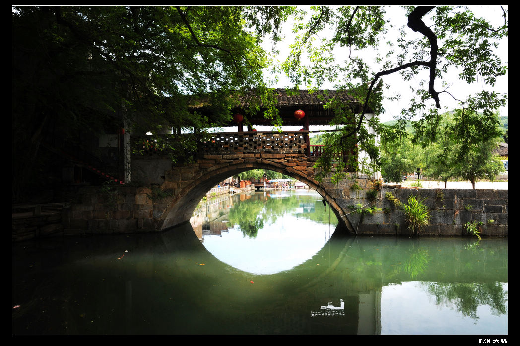 neo_img_dsc_2278.jpg