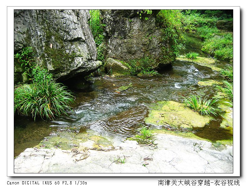 Ͻ20110604 079.jpg