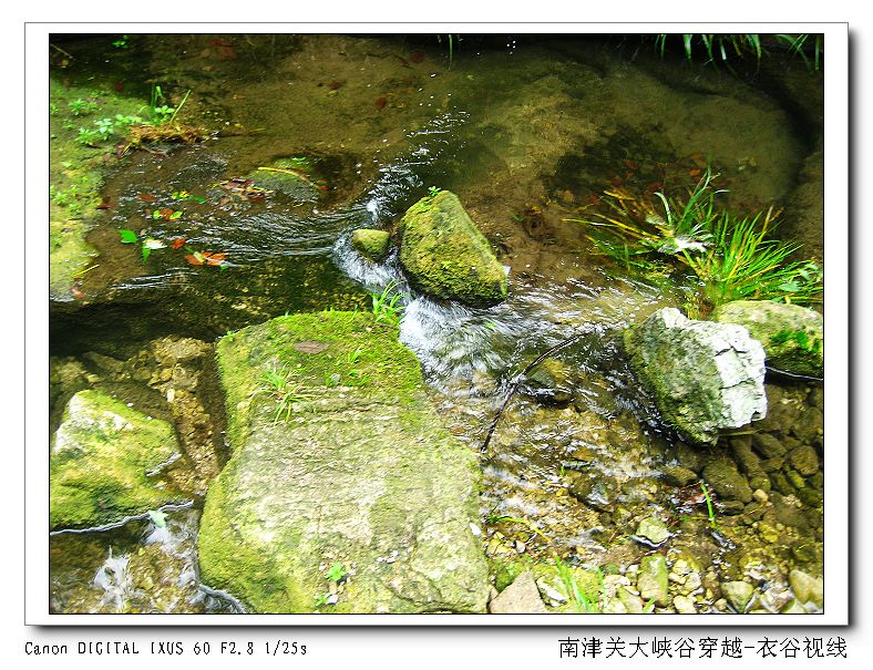 Ͻ20110604 078.jpg