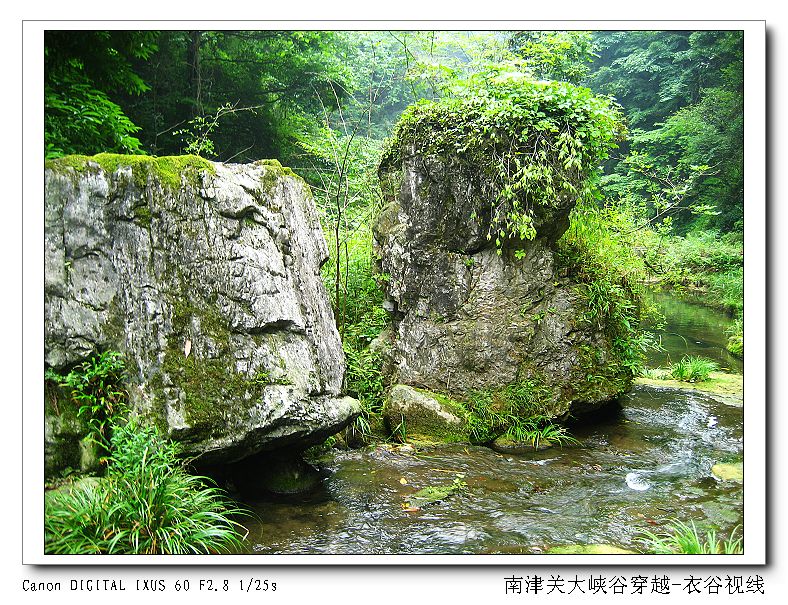 Ͻ20110604 080.jpg
