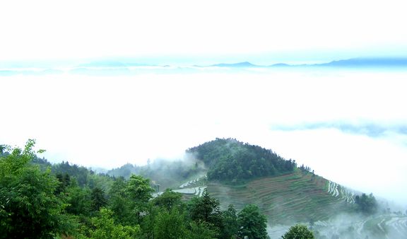 100_5125.jpg