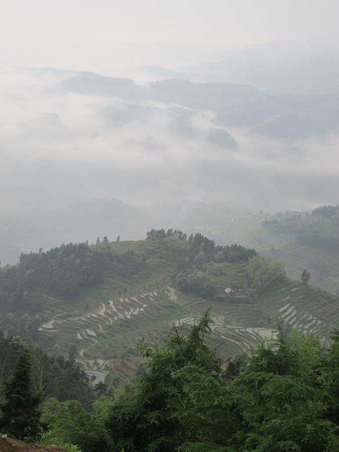 img_2872.jpg