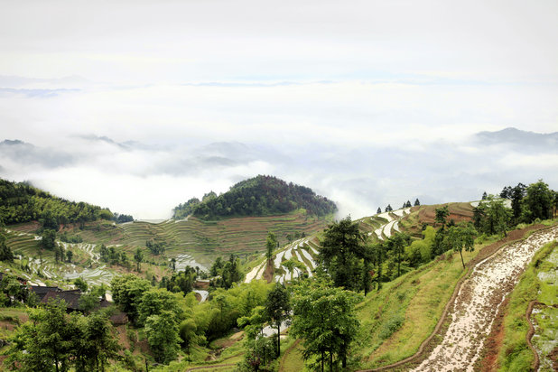 _mg_9859.jpg