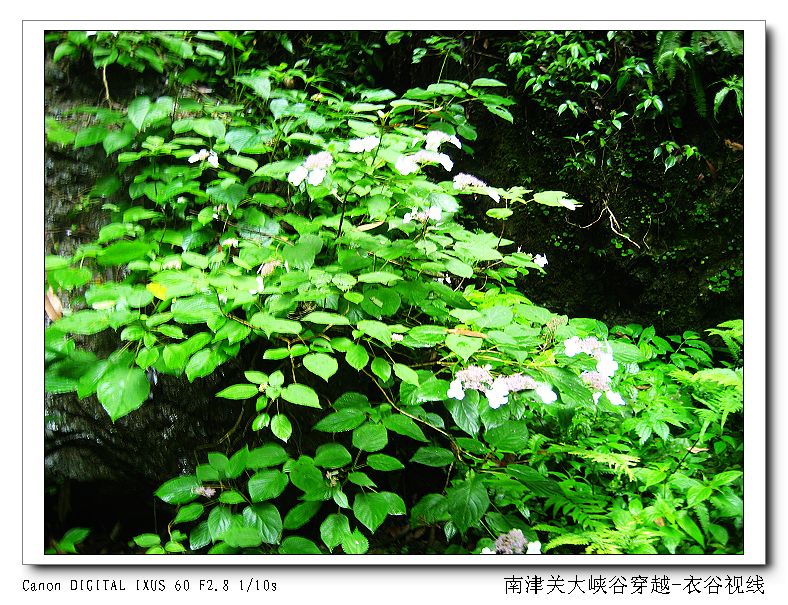 Ͻ20110604 162.jpg