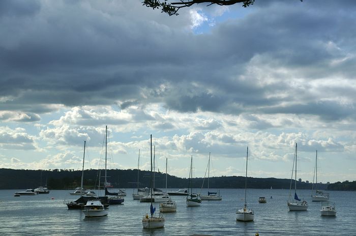 dsc_0268õ.jpg