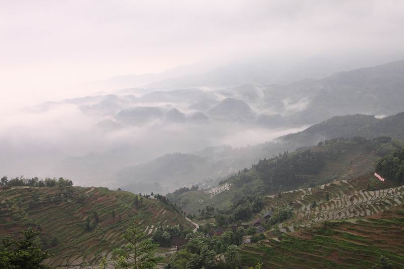 02img_3997.jpg
