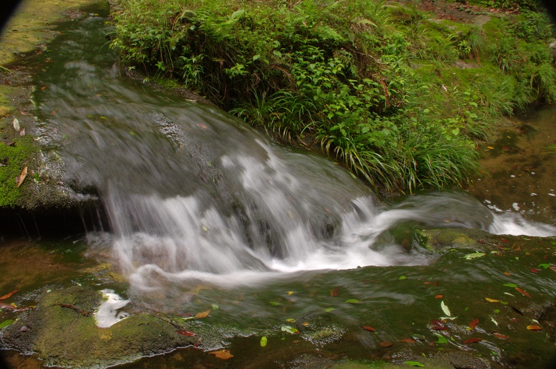 imgp02850.jpg