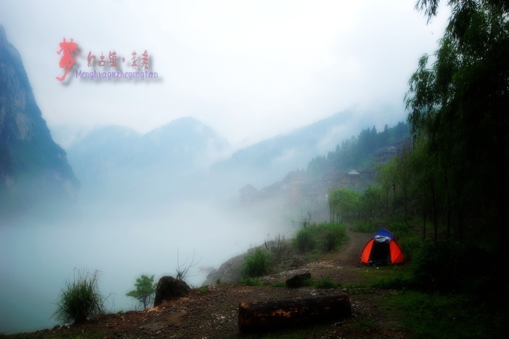 dsc_0919.jpg