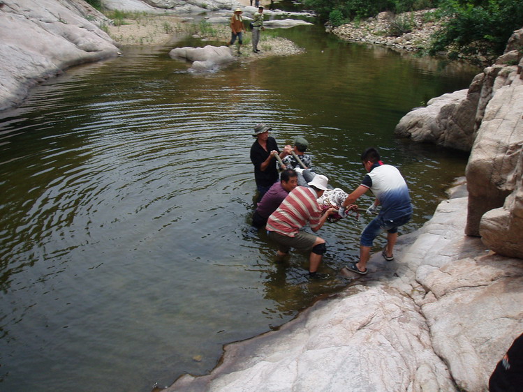 p1014721.jpg