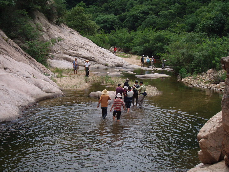 p1014723.jpg