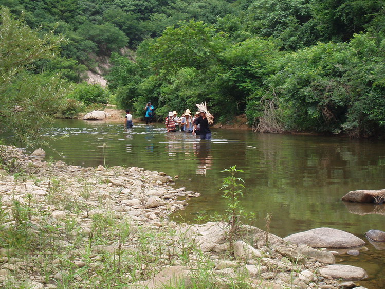p1014751.jpg
