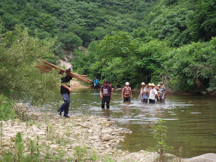 p1014753.jpg